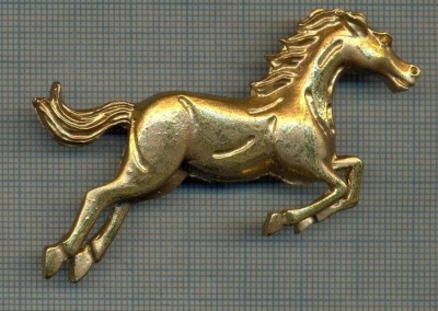 878 NEW INSIGNA - CAL IN SARITURA -INTERESANT -starea care se vede foto