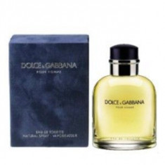 Dolce&amp;amp;Gabbana Dolce&amp;amp;Gabbana Pour Homme EDT 40 ml pentru barbati foto