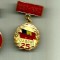 INSIGNA UASCR 25 ANI [1957 - 1982]