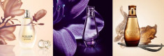 Parfum Bois Sensuel.So Elixir foto