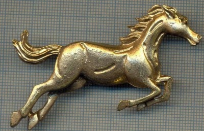883 NEW INSIGNA - CAL IN SARITURA -INTERESANT -starea care se vede foto