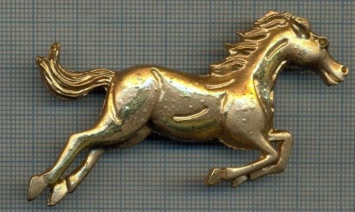 876 NEW INSIGNA - CAL IN SARITURA -INTERESANT -starea care se vede foto
