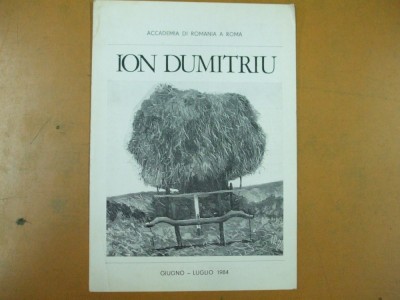 Ion Dumitru pictura pliant prezentare limba italiana foto
