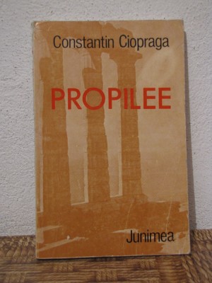 PROPILEE -CONSTANTIN CIOPRAGA foto