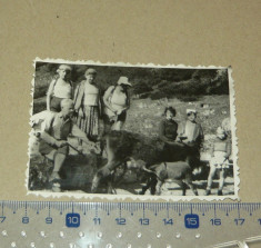 Fotografie veche - grup, munte, excursie, magar, animale - 2+1 gratis - RBK10712 foto