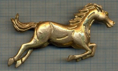 874 NEW INSIGNA - CAL IN SARITURA -INTERESANT -starea care se vede foto