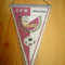 fanion fotbal cfr timisoara banat echipa club fan sport hobby de colectie