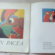ION PACEA 1972, MUZEUL DE ARTA AL RSR/UAP (CATALOG 146 lucrari/15 reprod. color)