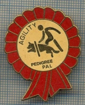 889 NEW INSIGNA - TEMA CANINA - AGILITY -HRANA PEDIGREE PAL -starea care se vede foto