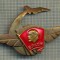917 NEW INSIGNA - AVIATIE ARMATA URSS ? -TINERETUL LENINIST -starea care se vede