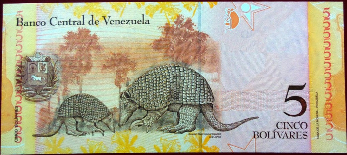 Bancnota exotica 5 BOLIVARI - VENEZUELA, anul 2008 * Cod 756 = UNC