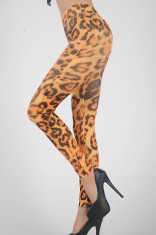 CL26 Colanti Animal Print foto