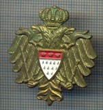 901 NEW INSIGNA -PAJURA CU DOUA CAPETE-HERALDICA INTERESANTA-starea care se vede