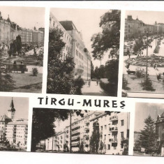 % carte postala(ilustrata)-MURES-Targu Mures