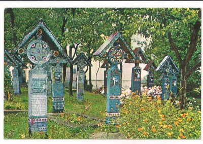 % carte postala (ilustrata)-MARAMURES- SAPANTA-Stan Ion Patras-autograf foto