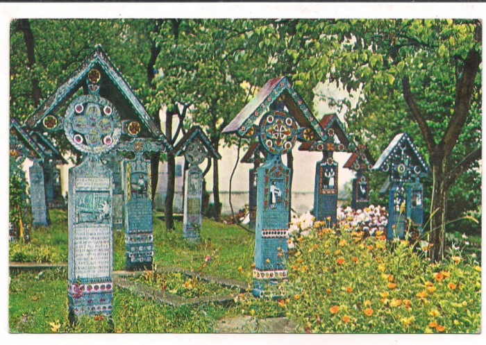 % carte postala (ilustrata)-MARAMURES- SAPANTA-Stan Ion Patras-autograf