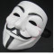 MASCA V for Vendetta . Anonymous. ACTA Petreceri. Demonstratii. Stadion
