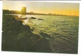 % carte postala(ilustrata)-MAMAIA