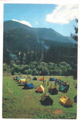 % carte postala(ilustrata)-HARGHITA -Camping la Tusnad foto