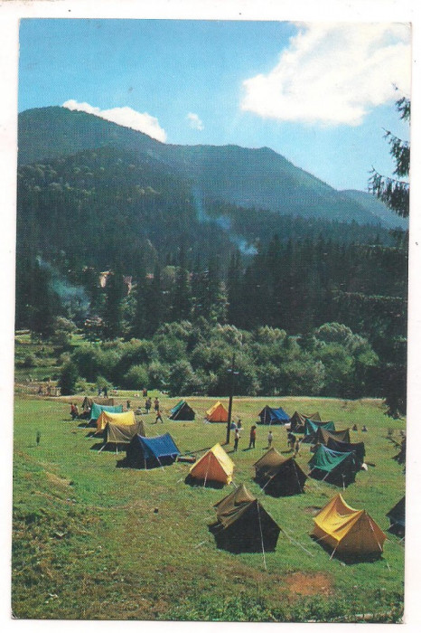 % carte postala(ilustrata)-HARGHITA -Camping la Tusnad