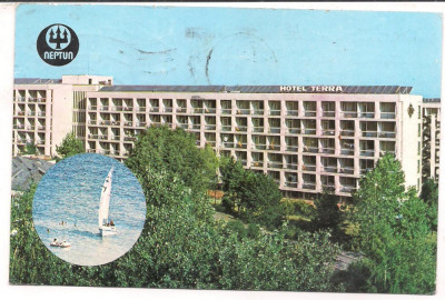 % carte postala(ilustrata)-NEPTUN-Hotel Terra foto