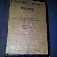 FLORA MICA ILUSTRATA A ROMANIEI IULIU PRODAN