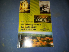 MONOGRAFIA LOCALITAII PRIGOR PAVEL PANDURU foto