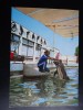 SEPT15-Vedere/Carte postala-Constanta-Delfinariul-circulata, Printata
