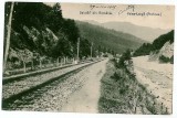 2127 - Prahova, VALEA LARGA, train on railway - old postcard - used 1905