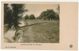 3161 - GIURGIU, lake and wood - old postcard - unused, Necirculata, Printata