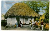 3174 - Country Life, Ethnic PEASANT - old postcad - unused, Necirculata, Printata