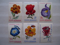 Romania 1971 LP 767 - serie nestampilata MNH &amp;quot;Flori din gradini botanice&amp;quot; foto