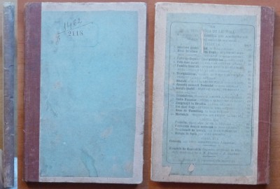 Riureanu , Biblioteca de lectura Tinerimea , Mielulu urmatu de Licuriciulu ,1892 foto