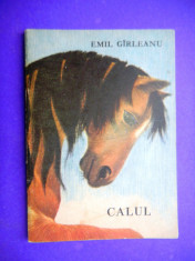 CALUL Emil Garleanu foto