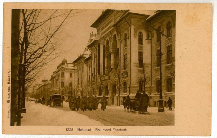 3201 - BUCURESTI, Elisabeth Ave. in winter - old postcard - unused