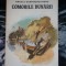 COMORILE DUNARII -Angela Dumitrescu Begu