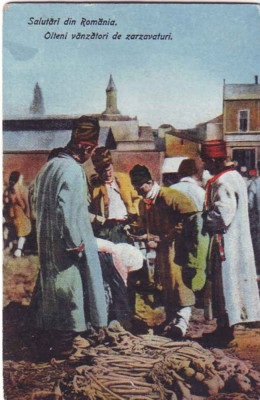 2621 - Ethnic, OLTENI, vegetable sellers, port popular - old postcard - unused foto