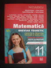 MATEMATICA BREVIAR TEORETIC - EXERCITII SI PROBLEME PROPUSE SI REZOLVATE M1 foto