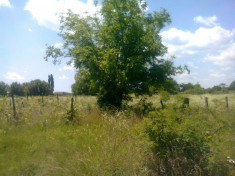 Teren agricol de vanzare in Stefanestii de Jos foto