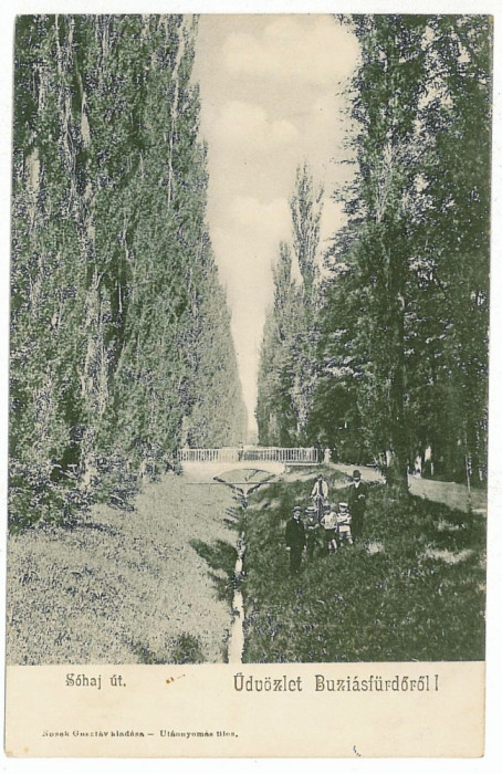 890 - BUZIAS, Timis, Park, Bridge, Romania - old postcard - unused