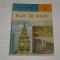 Raze de soare - Adina M. Arsenescu - Editura Albatros - 1987