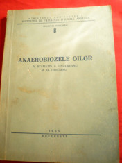 M.Stamatin - Anaerobiozele Oilor - Ed. 1956 - Colectia Indrumari nr 18 foto