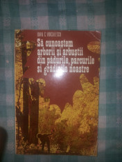 Sa cunoastem arborii si arbustii din padurile,parcurile si gradinile noastre foto