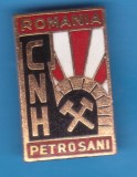 INSIGNA CNH PETROSANI - COMPANIA NATIONALA A HUILEI, Romania de la 1950