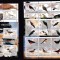 Benin 2003 fauna pasari 3 kleib. + 3 blocuri MNH w14