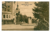 2311 - SINAIA, Prahova, Peles Castle - old postcard - unused, Necirculata, Printata