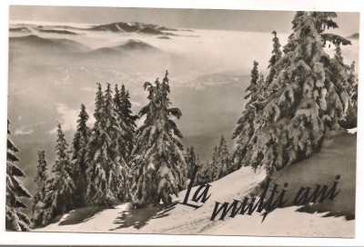 % carte postala(ilustrata)-LA MULTI ANI foto