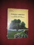 Peisajele Sanatatii Plante Medicinale In Decorul Parcurilor - Ion Roventa