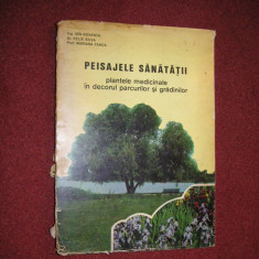 Peisajele Sanatatii Plante Medicinale In Decorul Parcurilor - Ion Roventa