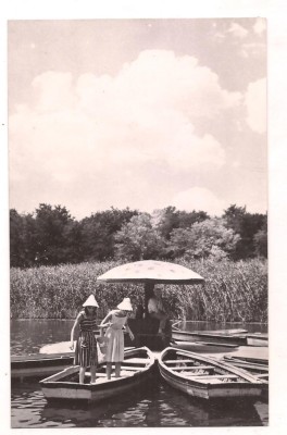 % carte postala(ilustrata)-AMARA-IALOMITA-Ciuperca de pe lac foto